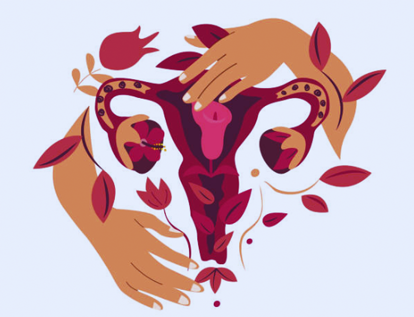 Menopausia tailerra