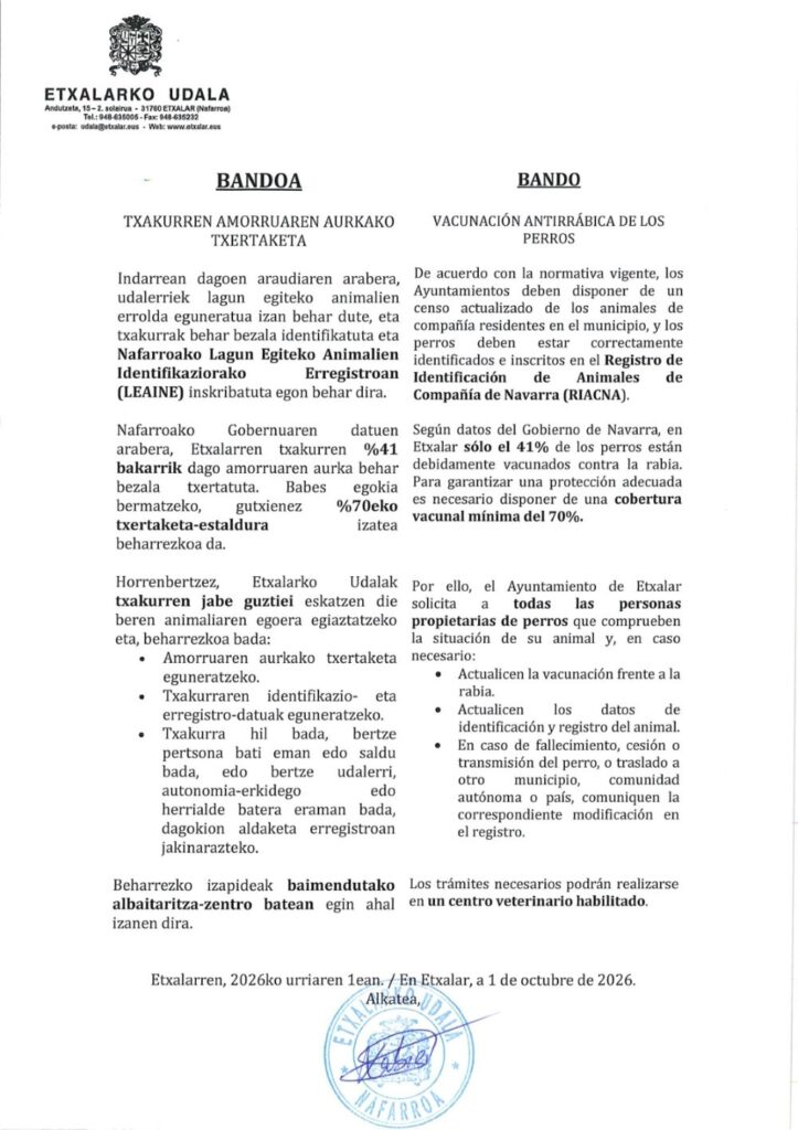 Amorruaren txertoa
