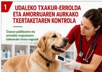 Udalak txakurren jabe guztiei eskatzen die hauek erroldatzeko eta txertatzeko